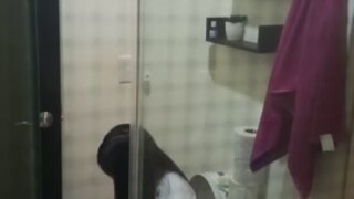 Latina teen toilet voyeur