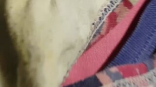 Some of not step daughters panties