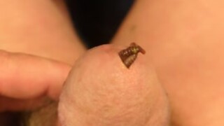 Worm playing in my cum hole