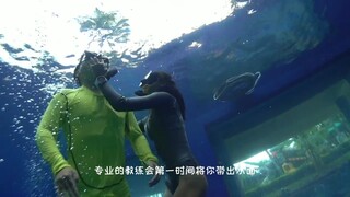 Underwater Asian Girls