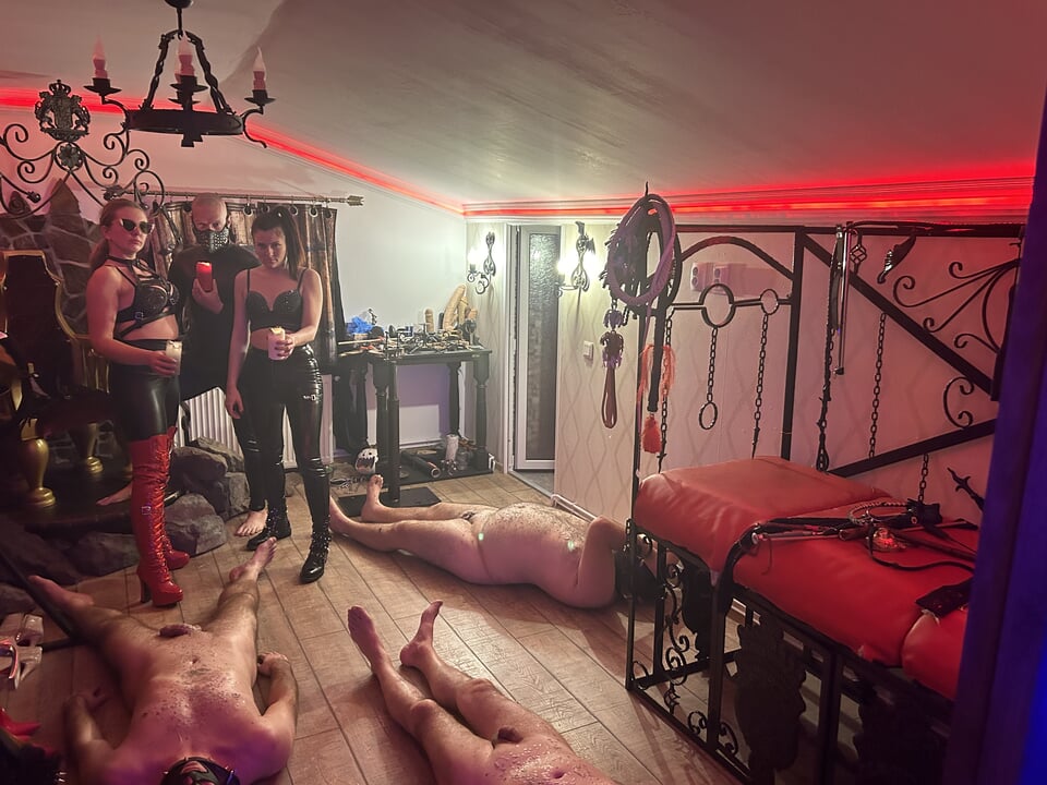 Hot drips on cock and balls - Intense waxing harem - Mistress Zeida Cluj Napoca Mistress BDSM