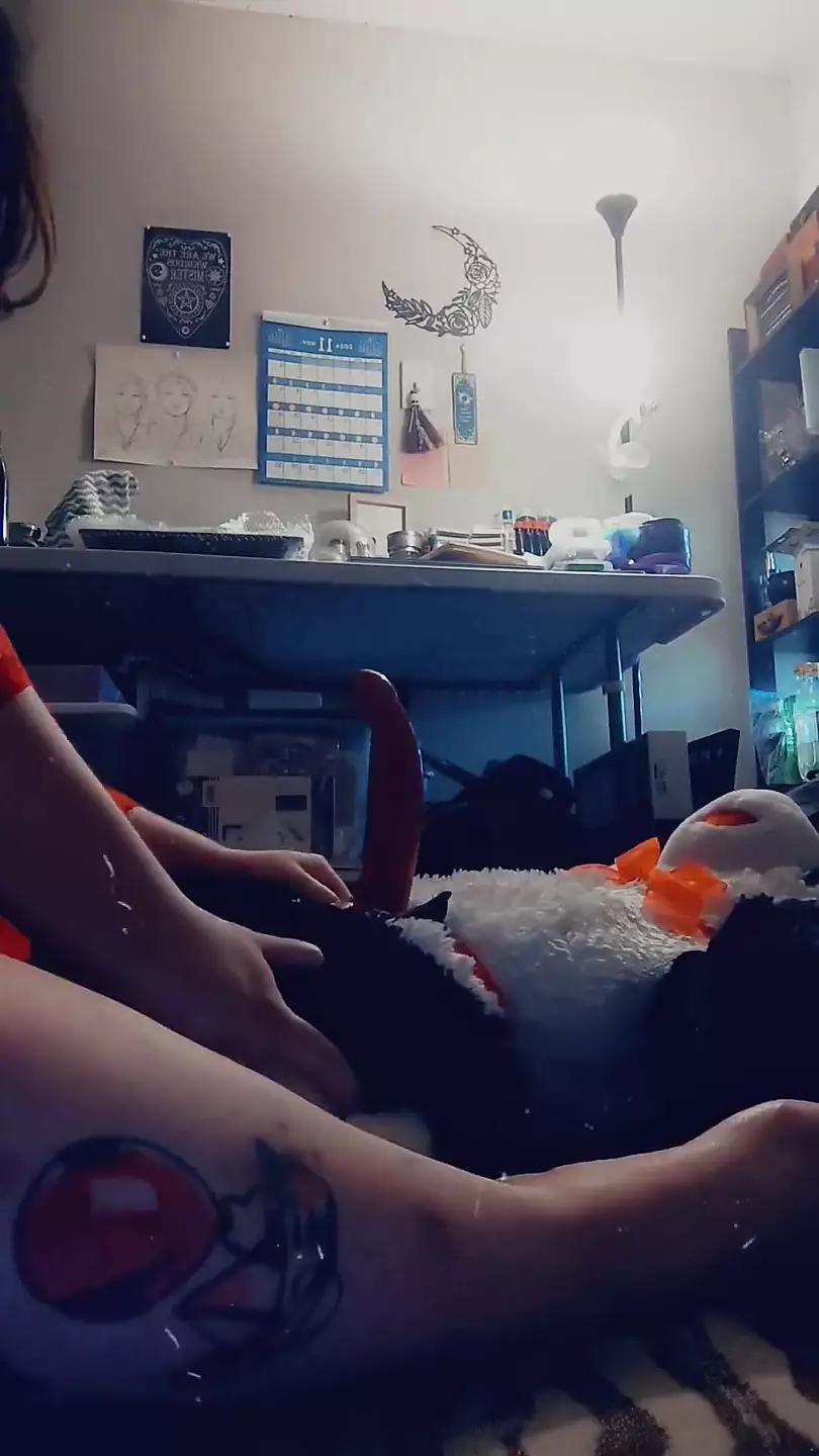 Fucking My Panda Stuffie (strap on)