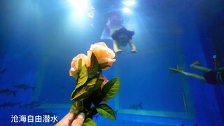 Asian Girl Underwater