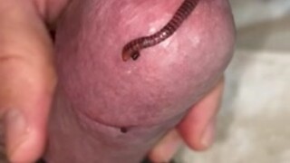 Worm Play with Tied Cock and Balls