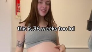 Pregnant Sluts