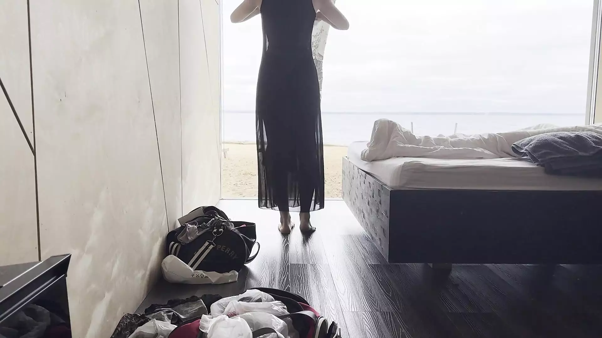 cleaning lady in dress