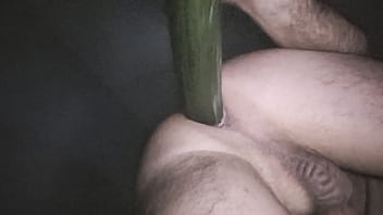 cucumber and me at night wet and hungry