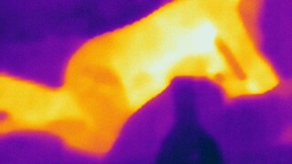 FLIR can flim in the dark, landwhale takes cock